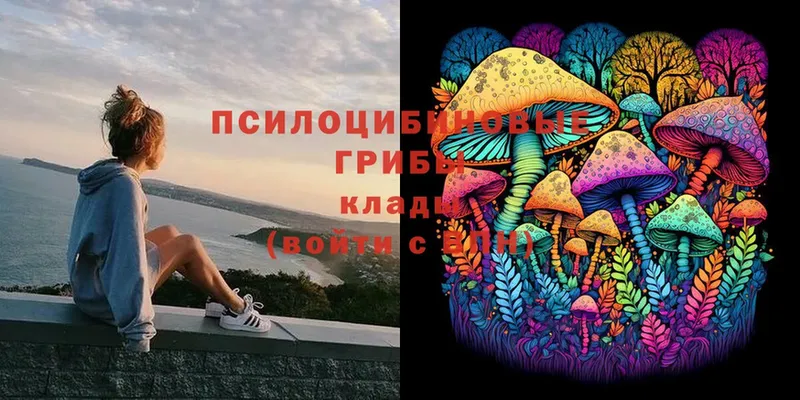 Псилоцибиновые грибы Psilocybe  купить закладку  Рязань 